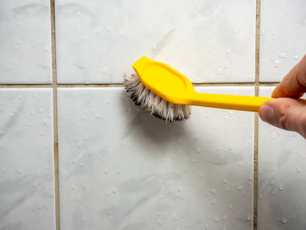 Best Preventive Mold Services in Crofton, MD