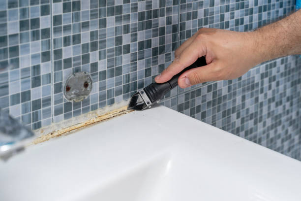 Best Localized Mold Remediation (e.g., coastal areas, humid climates) in Crofton, MD